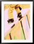 Snowboarder Skittering On A Rail by Bob Winsett Limited Edition Pricing Art Print
