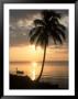 Sunrise With Man In Boat And Palm Tree, Belize by Frank Staub Limited Edition Pricing Art Print