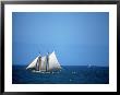 Spirit Of Massachusetts In Boston Harbor, Ma by Rick Berkowitz Limited Edition Print