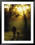 Father Walking With Child In The Park by Richard Stacks Limited Edition Pricing Art Print