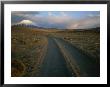 Dirt Road Winds Towards Sajama, Bolivia by Joel Sartore Limited Edition Pricing Art Print