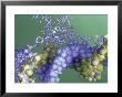 Protein-Dna Interaction by Jacob Halaska Limited Edition Print