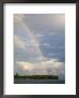 Rainbow In Sky After A Storm Over A Palm Tree-Studded Island by Wolcott Henry Limited Edition Pricing Art Print