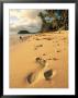 Foot Print On Beach, Koh Samui, Thailand by Jacob Halaska Limited Edition Pricing Art Print