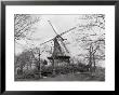 Windmill In Park, Alkmaar, Netherlands by Claire Rydell Limited Edition Print