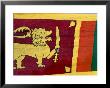 National Flag, Sri Lanka by Chris Mellor Limited Edition Pricing Art Print