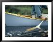 Close View Of A Person Paddling A Canoe by Bill Curtsinger Limited Edition Print