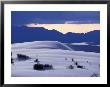 Grass Clunps On Sand Dunes, White Sands National Monument, Usa by John Elk Iii Limited Edition Print