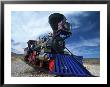 Golden Spike National Historic Site, Ut by Craig J. Brown Limited Edition Print