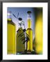 Olive Oil In Bottles by Luzia Ellert Limited Edition Pricing Art Print