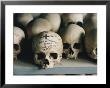 The Inscribed Skull Of A Priest At St. Anne's Monastic Community by James L. Stanfield Limited Edition Pricing Art Print