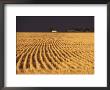 Landscape Of Farm Field After Storm, Kansas by Brimberg & Coulson Limited Edition Pricing Art Print