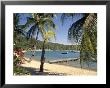 English Harbour, Antigua, Caribbean by John Miller Limited Edition Print