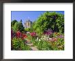 Cawdor Castle Gardens, Inverness-Shire, Scotland by Kathy Collins Limited Edition Print