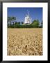 The Post Mill, Saxtead Green, Suffolk, England, Uk, Europe by John Miller Limited Edition Print