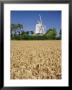 The Post Mill, Saxtead Green, Suffolk, England, Uk, Europe by John Miller Limited Edition Pricing Art Print