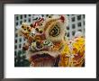 Costume Head, Lion Dance, Hong Kong, China by Fraser Hall Limited Edition Print