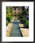 Generalife Gardens, The Alhambra, Granada, Andalucia, Spain, Europe by Steve Bavister Limited Edition Print
