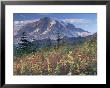Landscape, Mount Rainier National Park, Washington State, United States Of America, North America by Colin Brynn Limited Edition Print