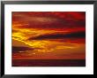 Dramatic Sky And Red Clouds At Sunset, Antarctica,, Polar Regions by David Tipling Limited Edition Print