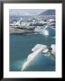 Icebergs In The Glacial Melt Water Lagoon At Jokulsarlon, Iceland, Polar Regions by Neale Clarke Limited Edition Print