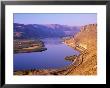 Columbia River With Apple Orchards And Desert Hills, Chelan, Washington, Usa by Jamie & Judy Wild Limited Edition Print
