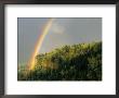 Springtime Rainbow Arching Over Vista House On Crown Point by Steve Terrill Limited Edition Print