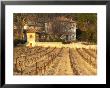 Winery Building At Chateau Saint Cosme, Gigondas, Vaucluse, Rhone, Provence, France by Per Karlsson Limited Edition Print