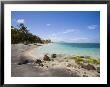 Nisbett Plantation Beach, Nevis, Caribbean by Greg Johnston Limited Edition Print