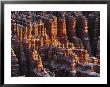 Rock Formations At Bryce Canyon With A Light Dusting Of Snow by Norbert Rosing Limited Edition Pricing Art Print