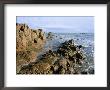 Corbiere Point, St. Brelard, Jersey, Channel Islands, United Kingdom by Neale Clarke Limited Edition Print