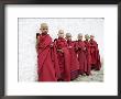 Young Buddhist Monks, Karchu Dratsang Monastery, Bumthang, Bhutan by Angelo Cavalli Limited Edition Print