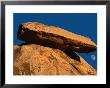 View Of Cap Rock In Joshua Tree National Park, California, Usa by Richard Cummins Limited Edition Pricing Art Print