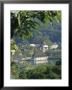 Temple Of The Tooth, Houses A Tooth Relic Of The Buddha, Kandy, Sri Lanka by Charles Bowman Limited Edition Print