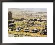 Military Graveyard, Ghazni, Afghanistan by Jane Sweeney Limited Edition Pricing Art Print