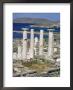 Archaeological Site, Delos, Unesco World Heritage Site, Greece by Adam Woolfitt Limited Edition Print