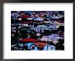 Overhead Of Houses In Auckland, Auckland, New Zealand by Michael Coyne Limited Edition Print