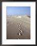 Dunes Du Pilat, Guyenne, Near Bordeaux, Aquitaine, France by Adam Woolfitt Limited Edition Print