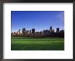 Central Park And Nyc Skyline by Jack Gescheidt Limited Edition Print