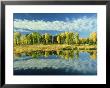 Narrowleaf Cottonwoods, Autumn Colour Change, Grand Teton National Park, Usa by Stan Osolinski Limited Edition Pricing Art Print