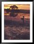 Mokoro And Guide, Botswana by Stuart Westmoreland Limited Edition Print