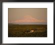 A Rv Rumbles Along The Denali Highway Scenic Drive Past Mount Sanford by Michael Melford Limited Edition Print