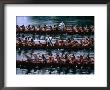 Ngaruawahia Regatta Held At Turangawaewae Marae Every March On Waikato River, New Zealand by David Wall Limited Edition Pricing Art Print