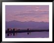 Trucks On The Highway Reflected In Great Salt Lake, Utah by Kenneth Garrett Limited Edition Print