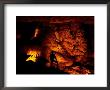 Person Silhouetted Against The Limestone Formations Of The Pipe Organ by Raymond Gehman Limited Edition Print