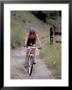 Mountain Biking In Boulder, Colorado, Usa by Lee Kopfler Limited Edition Print
