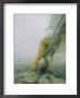 A Sailor Reefs The Boats Mainsail During A Blustery Squall by Skip Brown Limited Edition Print