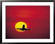 Airplane Flying At Sunset by Bill Bachmann Limited Edition Print