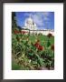 Sacre Coeur Cathedral, Paris, France, Europe by Richard Nebesky Limited Edition Print