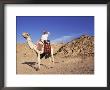 Bedouin And Camel, Sinai, Egypt, North Africa, Africa by Nico Tondini Limited Edition Print